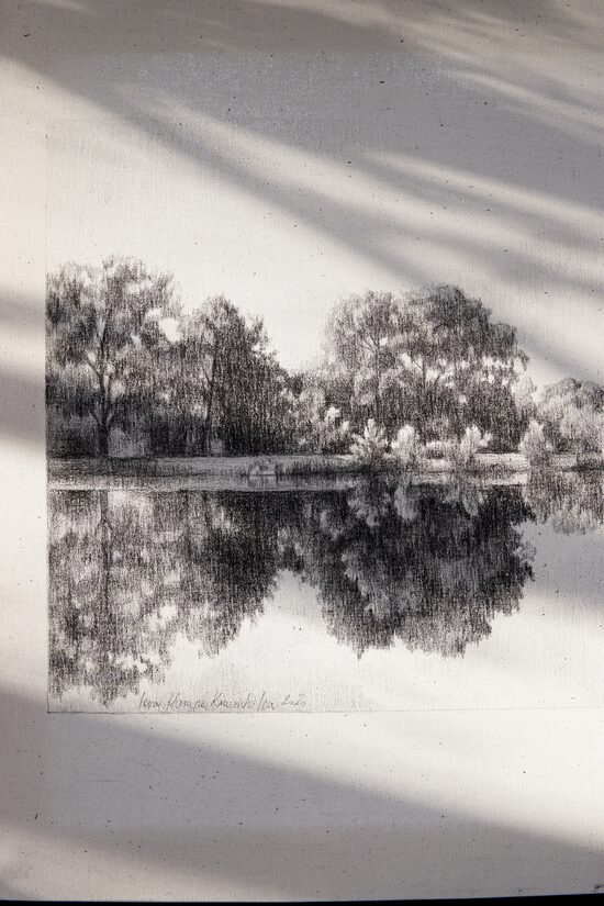 Ogles zīmējums "Atspulgs" 50x50 cm