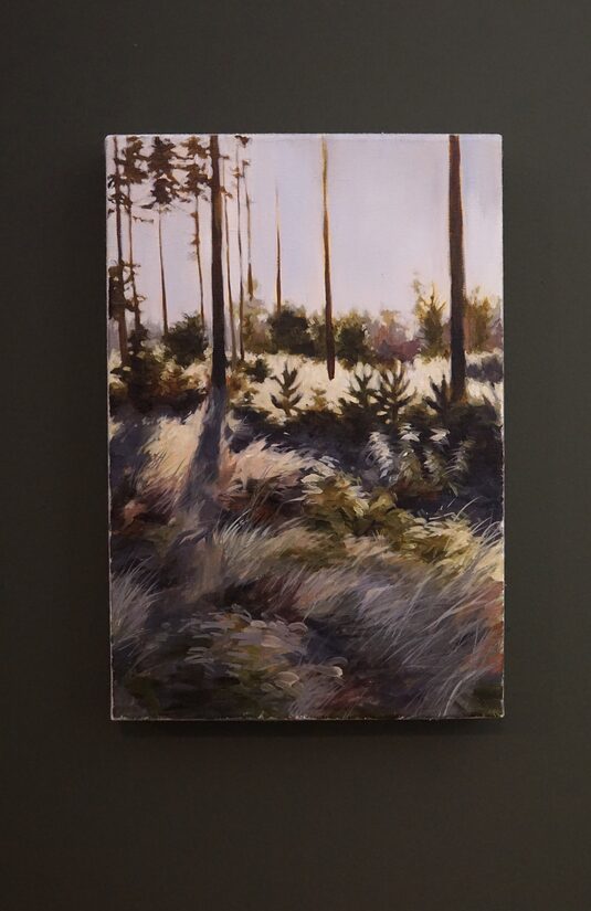 Mazglezniņa "This is your daily minimum of paying attention to Nature" 30x20 cm