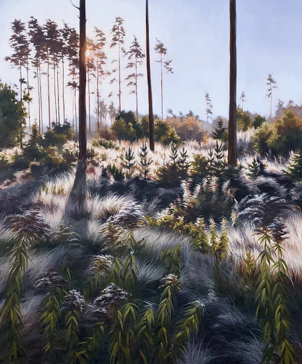 "My spiritual practice is crying in front of Landscape" 120x100cm, 2026